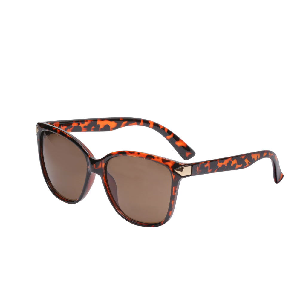 Lentes de sol Bamberg color café – Tienda Copec