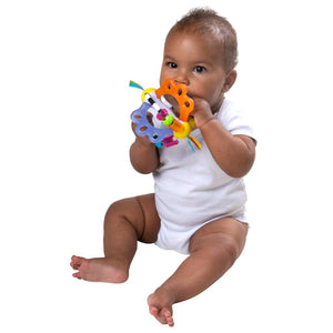 Bola Exploradora Refresh Playgro