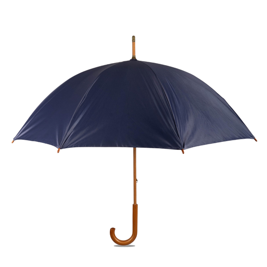 Paraguas Clásico Azul INV26