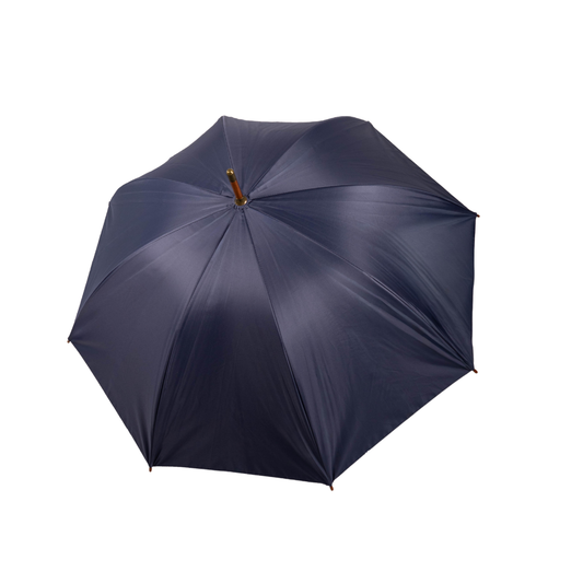 Paraguas Clásico Azul INV26
