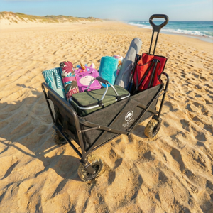 Combo Picnic Manta 150x180 cm + Parlante Bluetooth 20W + 4 Copas Acrílicas Gin 660 ml + Carrito Plegable Llaima Outdoor