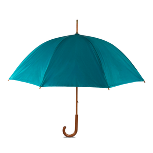 Paraguas Clasico Petroleo INV26