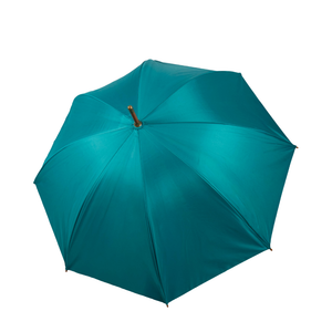 Paraguas Clasico Petroleo INV26