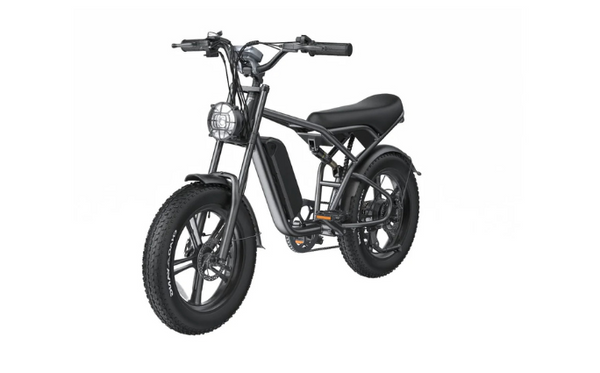 E-Bike Shengte Dyz1500W Black 20X4