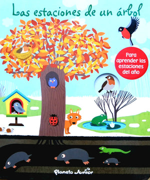 Las Estaciones De Un Árbol