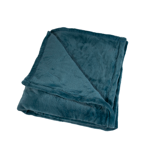 Cojín Manta Dino INV26