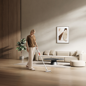 Aspiradora Xiaomi Vacuum Cleaner P30 GL