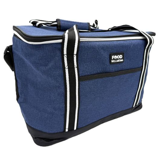 Bolso Cooler 23 Litros WellMeBag BW4766 Azul