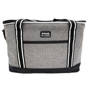 Bolso Cooler 23 Litros WellMeBag BW4766 Gris