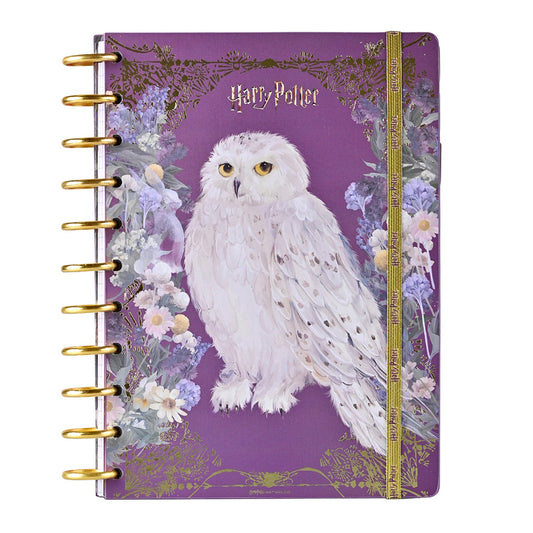 Cuaderno Recarga Discos Harry Potter