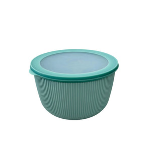 Juego de 4 Bowls para Ensalada