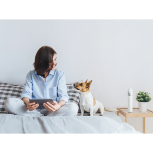 Aspiradora Xiaomi Mi Vacuum Cleaner Mini
