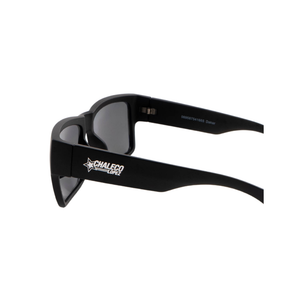 Lente De Sol Chaleco Dakar Black Matte Morado