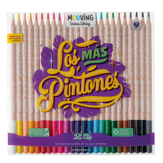 Estuche 24 Lapices Colores Premium