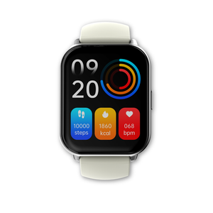 Smartwatch Zone 2 Plateado Hifuture