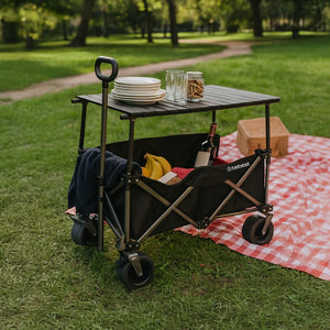 Carro De Arrastre 3 En 1 Outdoor Negro Bebesit