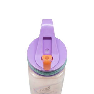 Botella Cuadrada 500Ml Licencias Frozen