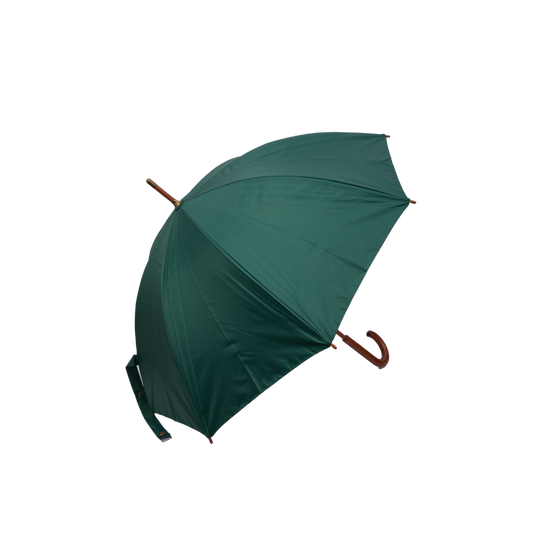 Paraguas Clásico Verde - Promo 2025