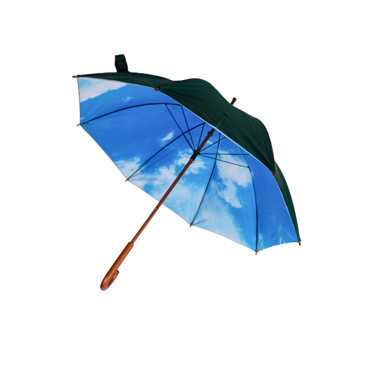 Paraguas Clásico Verde - Promo 2025