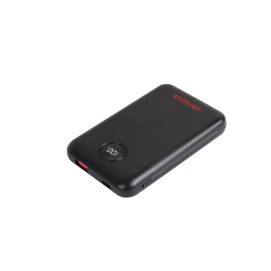 Cargador Batería Externa Power Bank 10.000 Mah Paw-300 Negro