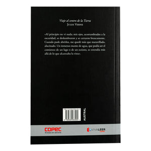 Combo Libros Clásicos 1 Viaje Al Centro De La Tierra + 1 El Mago De Oz + 1 Alí Babá Y Los 40 Ladrones