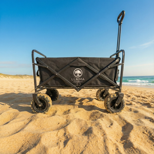 Combo Carrito playa Plegable Llaima y Set Balde Plegable de Cangrejo