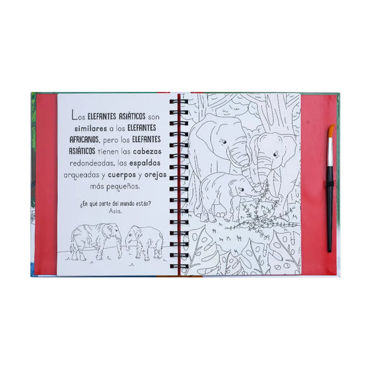 Coloreando Con Agua: Animales