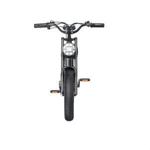 E-Bike Shengte Dyz1500W Black 20X4