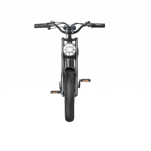E-Bike Shengte Dyz1500W Black 20X4