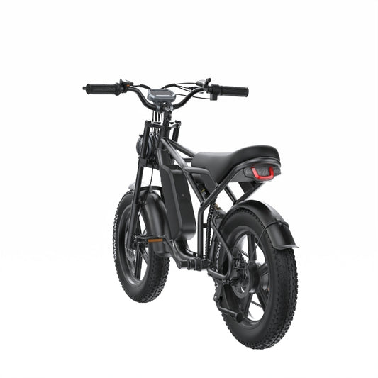 E-Bike Shengte Dyz1500W Black 20X4