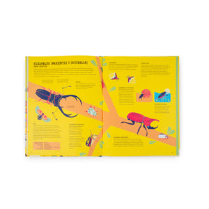 Insectopedia