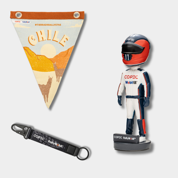 Rally WRC