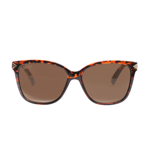 Combo Lentes de sol Bamberg color café + Lentes De Sol Kuta