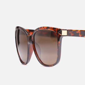 Combo Lentes de sol Bamberg color café + Lentes De Sol Kuta