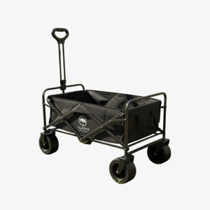 PRODUCTOS TOP 100