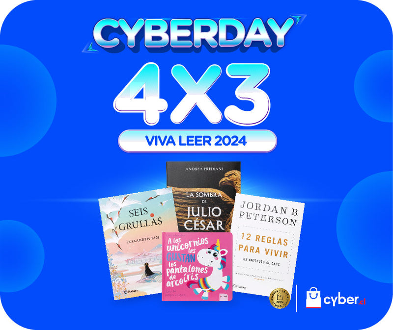 4x3 cyber