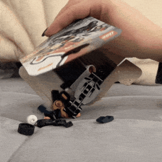 LEGO Autos Formula 1® Coleccionables
