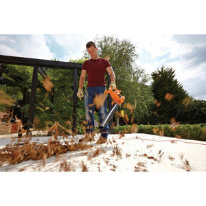 Sopladora Aspiradora 2500W BV25-B2C Black and Decker