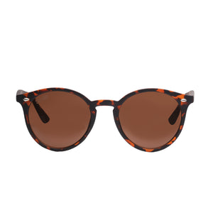Lentes de sol Rostock color café