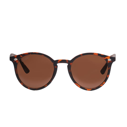 Combo Bandolera Cruzado Navigator + Lentes de sol Rostock color café + Botella Plegable Gout 700ML Negra