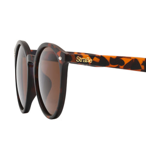 Lentes de sol Rostock color café