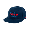 Wrc - jockey azul logo color plano